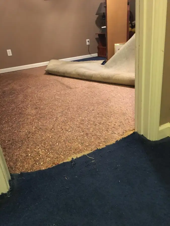 Carpet pad removal revealing water damage during Water Mitigation Services in East Troy