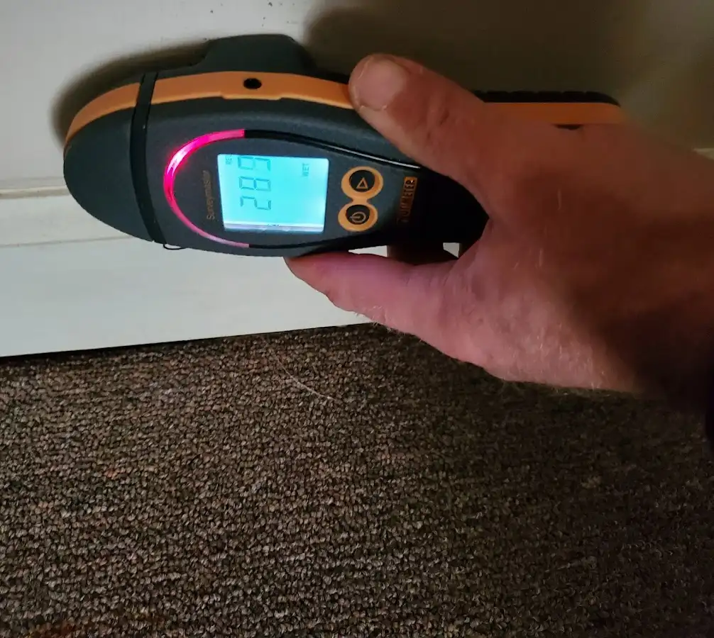Moisture detection at baseboard during Sewage Cleanup & Sanitation in East Troy